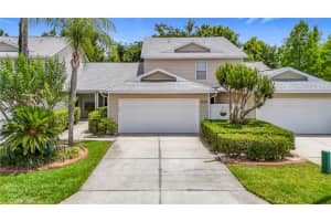 1628 Lullwater Ln, LUTZ