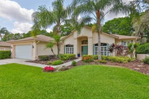 4942 Willow Ridge Ter, VALRICO