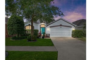 12713 Whitney Meadow Way, RIVERVIEW