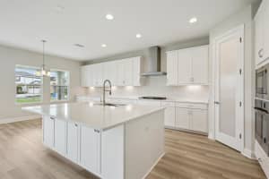13137 WELLSPRING DRIVE, LITHIA, FL 33547 Sold 08/07/25