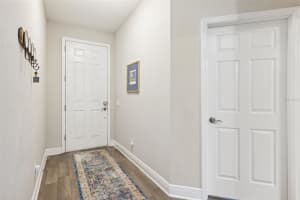 19323 HAWK VALLEY DRIVE, TAMPA, FL 33647 - MLS#MFRTB8385407