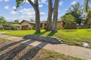 854 VILLAGE WAY, PALM HARBOR, FL 34683 Sold 08/20/25