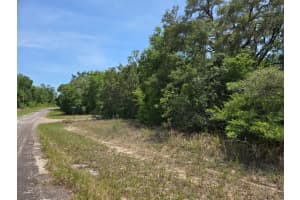 1795 W THUMPER, CITRUS SPRINGS, FL 34434 - MLS#MFRTB8385480