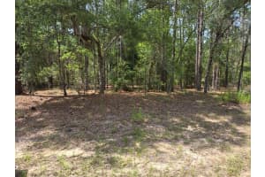 1795 W THUMPER, CITRUS SPRINGS, FL 34434 - MLS#MFRTB8385480