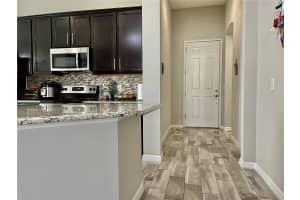 868 OLD WINDSOR WAY, SPRING HILL, FL 34609 - MLS#MFRTB8385524