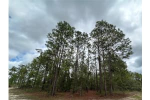 0 MELLON ROAD, WEEKI WACHEE, FL 34614 - MLS#MFRTB8385577