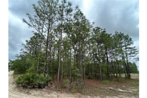 0 MELLON ROAD, WEEKI WACHEE, FL 34614 - MLS#MFRTB8385577