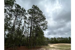 0 MELLON ROAD, WEEKI WACHEE, FL 34614 - MLS#MFRTB8385577