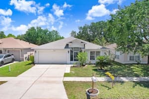 13523 Prestwick Dr, RIVERVIEW
