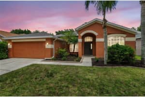 19156 Dove Creek Dr, TAMPA