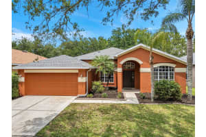 19156 DOVE CREEK DRIVE, TAMPA, FL 33647 - MLS#MFRTB8385689
