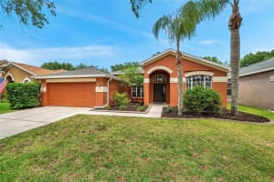 19156 DOVE CREEK DRIVE, TAMPA, FL 33647 - MLS#MFRTB8385689