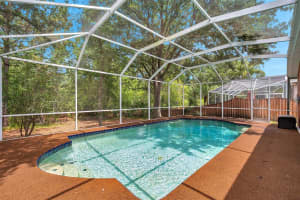 19156 DOVE CREEK DRIVE, TAMPA, FL 33647 - MLS#MFRTB8385689