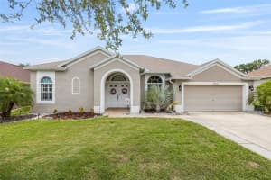 25942 Risen Star Dr, WESLEY CHAPEL
