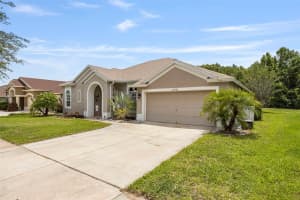 25942 RISEN STAR DRIVE, WESLEY CHAPEL, FL 33544 - MLS#MFRTB8385762