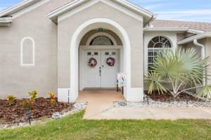 25942 RISEN STAR DRIVE, WESLEY CHAPEL, FL 33544 - MLS#MFRTB8385762