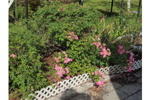 115 MARJORIE AVENUE, AUBURNDALE, FL 33823 - MLS#MFRTB8385816