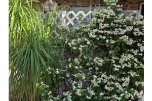 115 MARJORIE AVENUE, AUBURNDALE, FL 33823 - MLS#MFRTB8385816