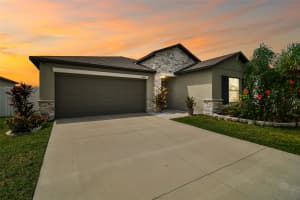 13603 WILD GINGER STREET, RIVERVIEW, FL 33579 - MLS#MFRTB8385831