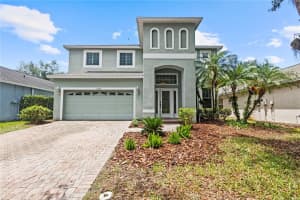 16206 Nottingham Park Way, TAMPA