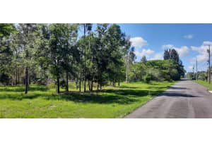 22 LANTANA DRIVE, INDIAN LAKE ESTATES, FL 33855 - MLS#MFRTB8385927