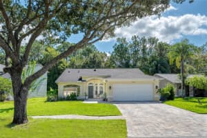 13038 ROYAL GEORGE AVENUE, ODESSA, FL 33556 Sold 08/15/25