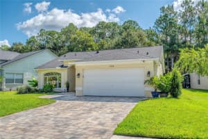 13038 ROYAL GEORGE AVENUE, ODESSA, FL 33556 Sold 08/15/25