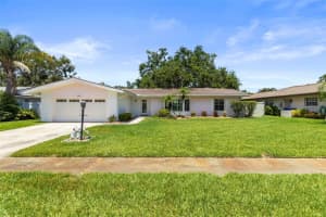 1140 Mcfarland St, DUNEDIN