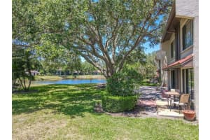 3505 TARPON WOODS BOULEVARD, PALM HARBOR, FL 34685 Sold 07/30/25