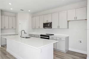 9961 SURREY ROSE DRIVE, SAN ANTONIO, FL 33576 - MLS#MFRTB8386070