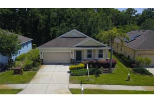11438 MERGANSER WAY, NEW PORT RICHEY, FL 34654 Sold 07/15/25
