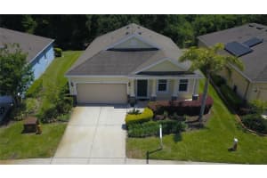 11438 MERGANSER WAY, NEW PORT RICHEY, FL 34654 Sold 07/15/25