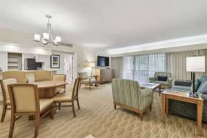 36750 US 19 N #07208, PALM HARBOR, FL 34684 - MLS#MFRTB8386125