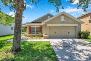 7103 Bridgeview Dr, WESLEY CHAPEL