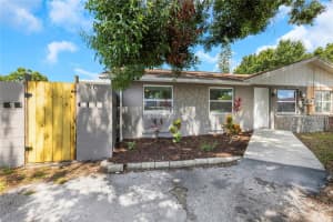 8805 Plum Grove Ct, TAMPA