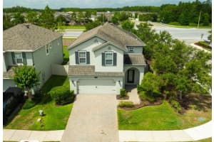 19200 Roseate Dr, LUTZ