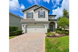 19200 ROSEATE DRIVE, LUTZ, FL 33558 - MLS#MFRTB8386151