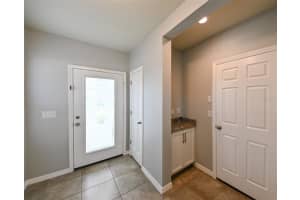 19200 ROSEATE DRIVE, LUTZ, FL 33558 - MLS#MFRTB8386151