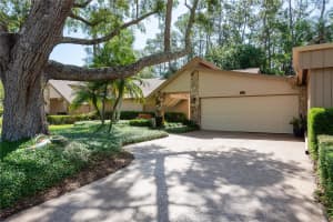 3071 BOLT DRIVE, PALM HARBOR, FL 34685 - MLS#MFRTB8386161