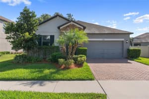 4690 Coachford Dr, WESLEY CHAPEL