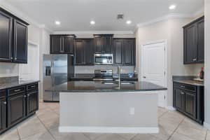 4690 COACHFORD DRIVE, WESLEY CHAPEL, FL 33543 - MLS#MFRTB8386162