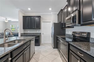 4690 COACHFORD DRIVE, WESLEY CHAPEL, FL 33543 - MLS#MFRTB8386162