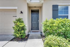 10626 PARK MEADOWBROOKE DRIVE, RIVERVIEW, FL 33578 - MLS#MFRTB8386186