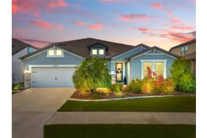 31643 Colada Drift Way, WESLEY CHAPEL