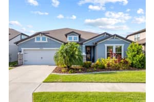 31643 COLADA DRIFT WAY, WESLEY CHAPEL, FL 33545 - MLS#MFRTB8386197