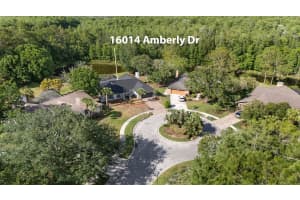 16014 AMBERLY DRIVE, TAMPA, FL 33647 - MLS#MFRTB8386266
