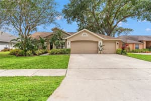 2713 BRIANHOLLY DRIVE, VALRICO, FL 33596 Sold 06/30/25