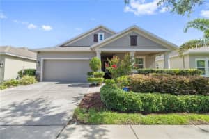 12009 WHISTLING WIND DRIVE, RIVERVIEW, FL 33569 Sold 07/25/25