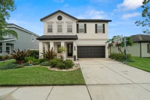 1844 Odiorne Point Ln, WESLEY CHAPEL