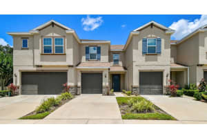 6745 Citrus Creek Ln, TAMPA